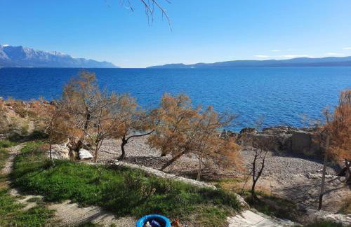 Apartments Rose - Foto 34