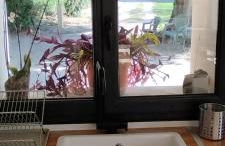 Mas en Provence - Photo 50