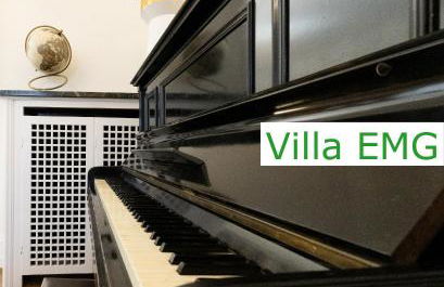 Luxury Villa EMG Steinfurt - Historische Villa mit Sauna, SPA, Garten & großem Essbereich für bis zu 22 Personen - Foto 35