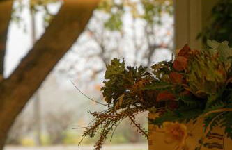 La Tenuta La Meirana - Foto 79