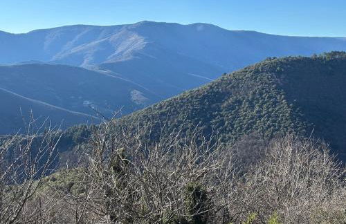 Le Châtaignier - Foto 41