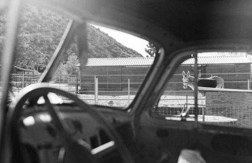 3 Bedroom Ranch -Hot Tub -Walk to P&H and Red Dog - Foto 43