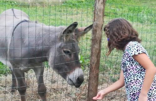 La Casa di Loia, casa vacanze con piscina esclusiva - Foto 27