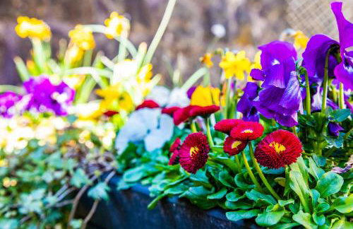 Buxton centre cosy cottage with free secure parking - Foto 21