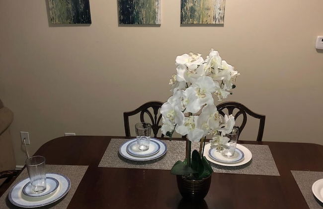 Hollywood Splendid Vacations - Foto 7