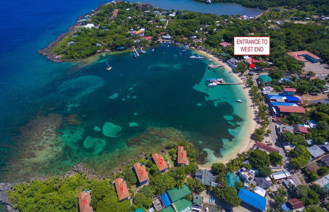 Coral Vista #3 - Foto 38