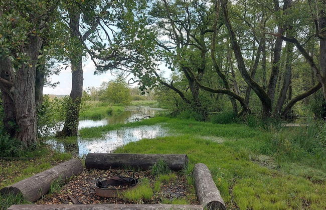 10 Person Holiday Home in Ry - Photo 60