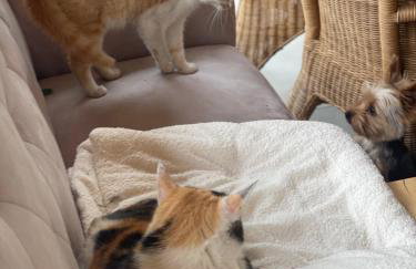 Agro na Wapniarni - Foto 5