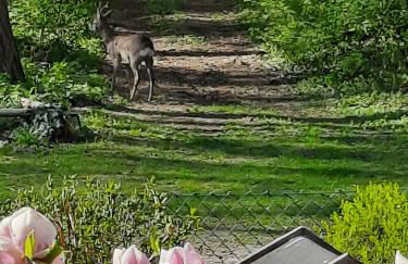 Ferienwohnung Wolf - Foto 32
