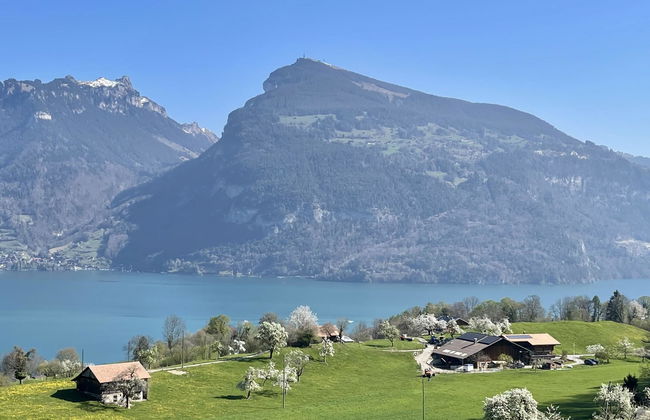 Panoramaferienwohnung Waldkircher - Foto 2