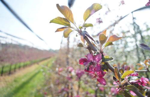 Ca Nova Agriturismo - Foto 62