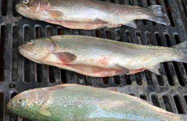 Maison les pieds dans l'eau - Foto 42