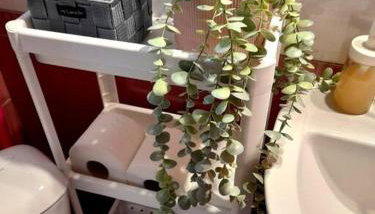 Sady's House - Foto 2