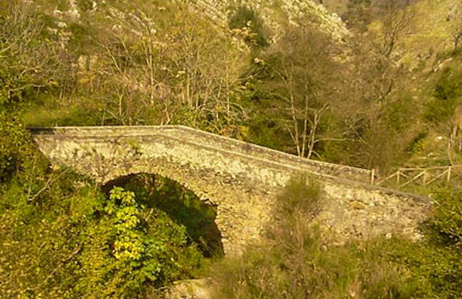 Agriturismo Terrerosse di Massadita - Foto 24