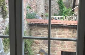 Natur und Neckarblick bei Heidelberg - Photo 61