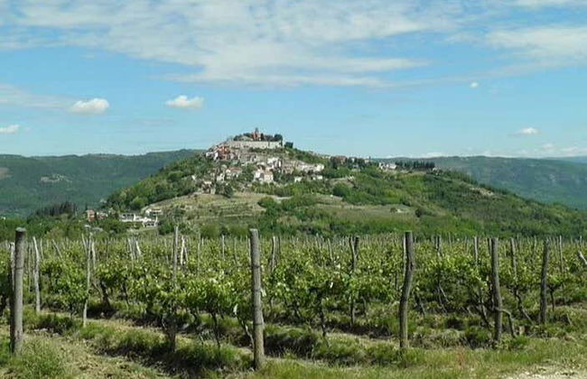 Escursione a Grisignana e Portole - Foto 1