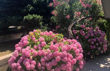 Apartman Milazzi, fully air-conditioned - Foto 5