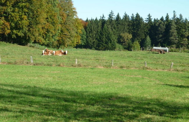 Nice Apartment in Diessen - Foto 10