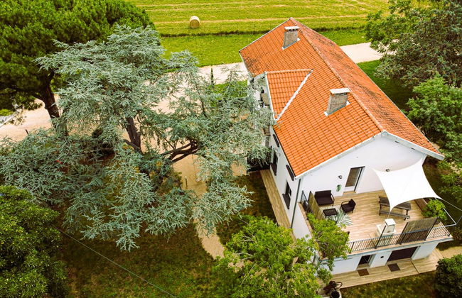 Le Cottage Nature Syrah - Foto 21