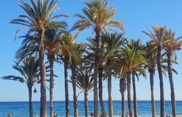 Blue Amber-Los Arenales del Sol-Alicante - Foto 12