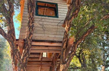 Nature Tourism Quinta Nova - Foto 26