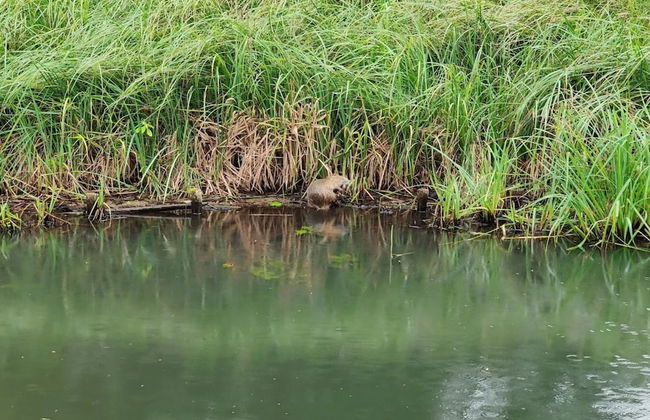 Bungalow in Lubben With a Terrace - Foto 78