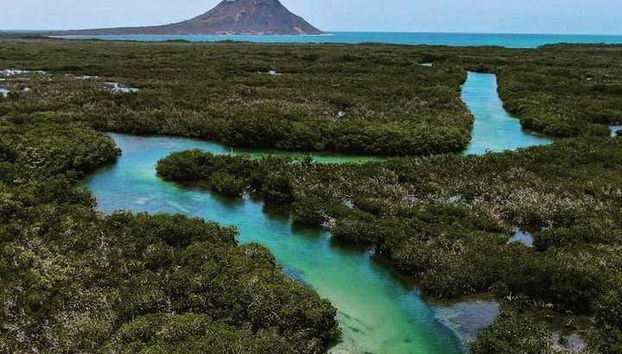 Balade en bateau à Monte Cristi - Photo 5, Vue panoramique sur les mangroves de Monte Cristi