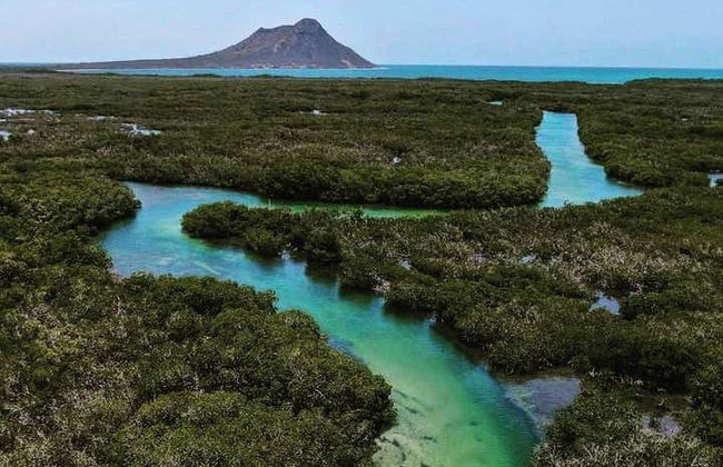 Monte Cristi Boat Trip - Photo 5