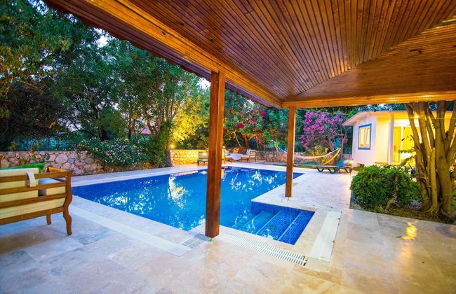 Damla Villa Soğut Village Daily Weekly Rentals - Photo 10