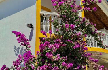 Apartment Emanuela - Photo 21