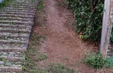 New Borgo Foce - Photo 10