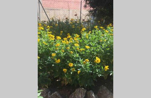 House Bologna Stazione Mazzini flat x 2 - Foto 22