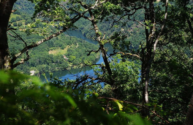 Village de Gite - La Cascade - Foto 25