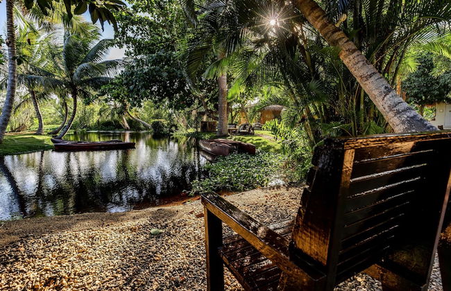 Kibayo Cabarete - Photo 74