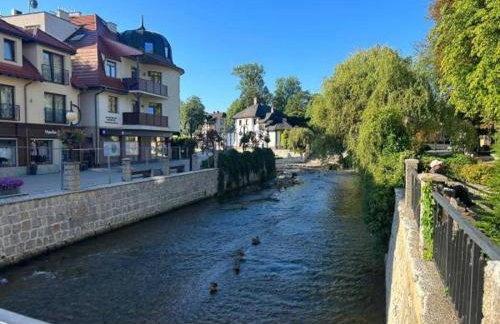 SUDECKA K0RONA domki całoroczne - Foto 28