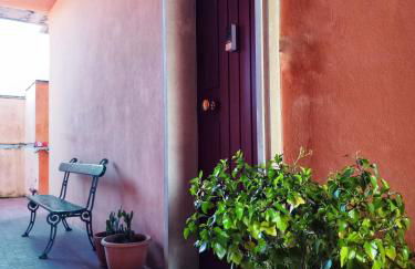 I levrieri Colombo - Foto 35