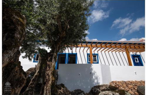 Almojanda 3 olive tree - Foto 17