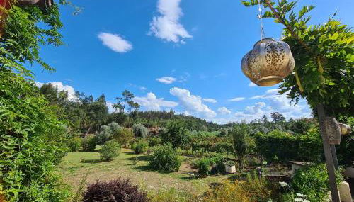 Casa de Coco - Foto 4