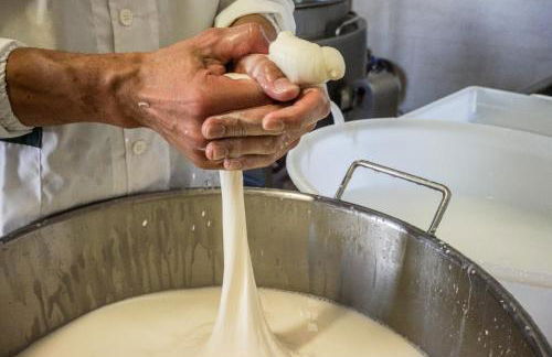 Masseria La Fica - Foto 51