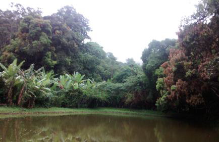 Estancia Vale das Flores - Foto 34