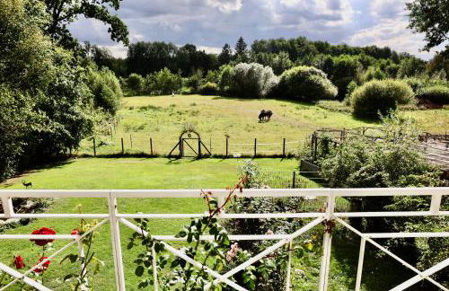Carpe Deimern in der Lüneburger Heide - Foto 1