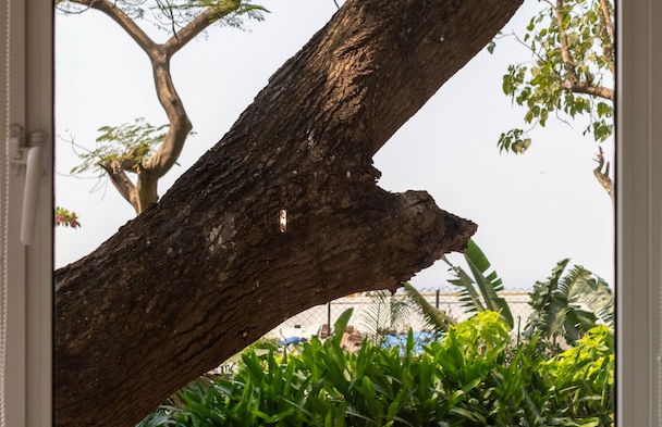 The Lighthouse - Photo 57