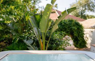 Kipos Mon Repos - Foto 35