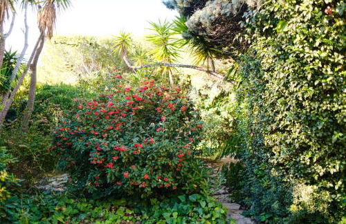 Roba Capeu - Foto 26