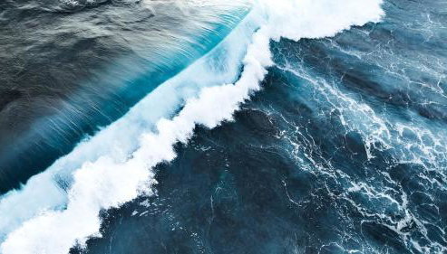 Life's better Salty -Welcome to Serenity - Foto 5