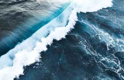 Life's better Salty -Welcome to Serenity - Foto 5