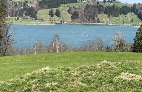 Ferienwohnung Am Goldbach Pool Sauna - Photo 29