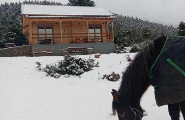 The Farmhouse - Photo 40