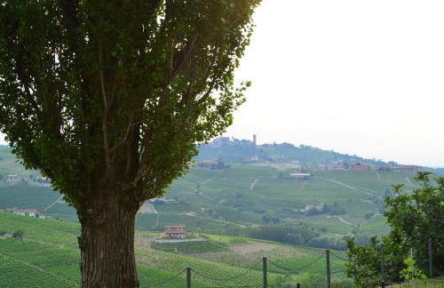 I Grappoli - Foto 29