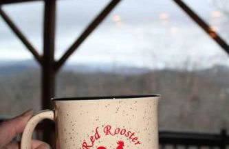 Red Rooster Family Cabin w/Hot Tub+Fire Pit+View - Foto 34